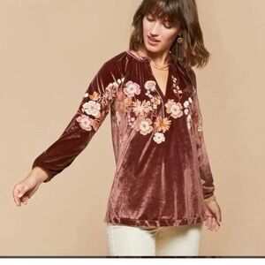 Embroidered Velvet V-Notch Tunic in Rose Brown